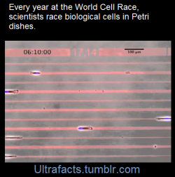 ultrafacts:    (Fact Source) For more facts, follow Ultrafacts