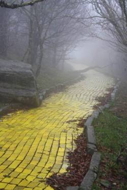 stunningpicture:  Eerie photo of the Yellow Brick Road from an