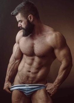 Bears & Other Hot Men