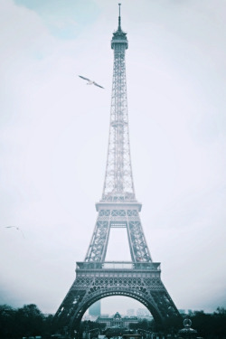 nichvlas:  (by elifonay)