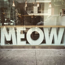 tinyredbird:dogsandtheirbuddies:Meow Parlour is New York City’s