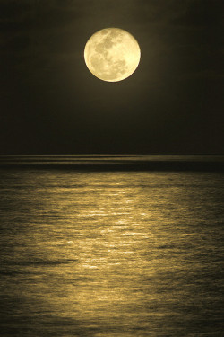 drxgonfly:  Moonrise (by Carlos Gotay Martínez) 