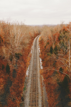 autumnlly:  moody-nature:  Untitled | By Jesse Daugherty    🍁