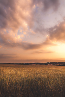 freddie-photography:  A series on One English Sunset One thing