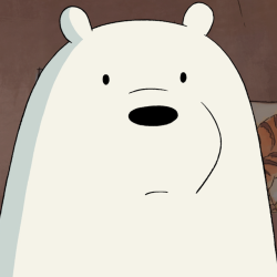 Bear Fun Fact: Ice Bear will win every single staring contest