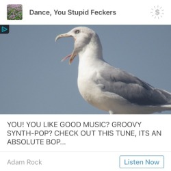 superpunkjellyfish:PLEASE LET US REBLOG ADS I AM IN FUCKING TEARS