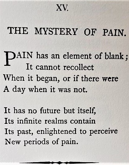 aloneandforsakenbyfateandbyman:   The Mystery of Pain by Emily