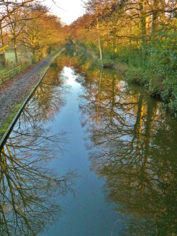 vwcampervan-aldridge:  Reflections in the Canal, Penkridge, Staffordshire,