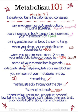 teenshealthandfitness:  All you need to know about the metabolism!