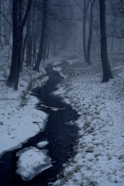 moody-nature:  Winterstorm | By Pascal Arabatzis | Vienna, Austria