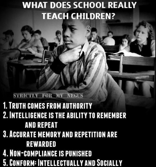 thanoblesavage:  Educational Fool System