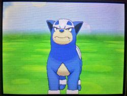 ultrafagatron:  SHINY HOUNDOUR + ELECTRIKE GIVE AWAY Houndour: