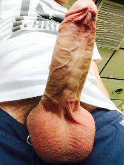 faptainfitz:  My thick, veiny cock. Tug on my balls to get me