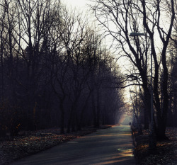 cozyautumnchills:   	Road in Autumn by Andrew Reutov     