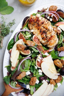 guardians-of-the-food:  Candied Pecan and Herb Chicken Salad