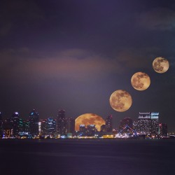 daveedgamboa:  Moon Rising over San Diego by David Gamboa 