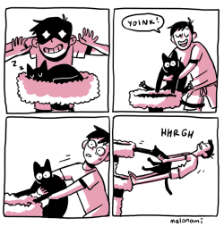 melonami: so does anyone else have a cat with superman strength