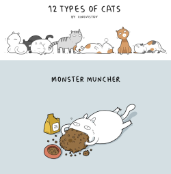 tastefullyoffensive:  12 Types of Cats by artist Landysh for Shop.lingvistov.com