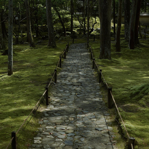uroko:    Saihō-ji Temple 西芳寺 💚✨