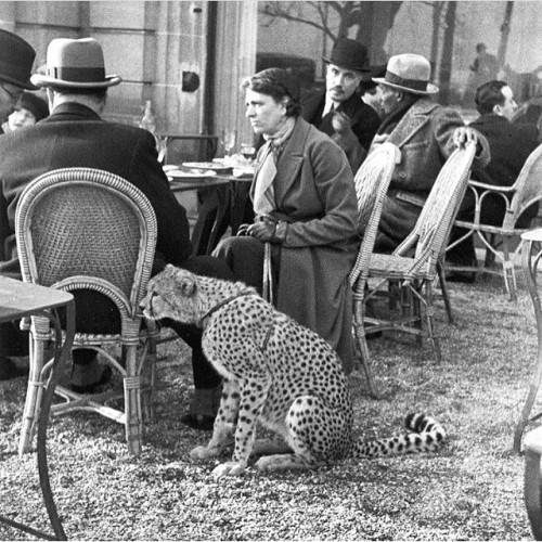 Alfred Eisenstaedt, bois de Boulogne, 1932.