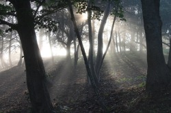 avardwoolaver: (via The Light of Autumn)  Newport, Nova Scotia