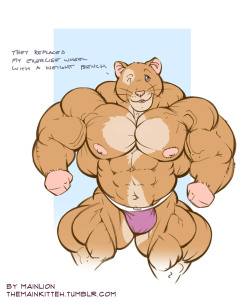 themainkitteh:  Buff hamster. Because I can. 