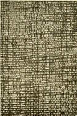 mizisham:  Image from page 88 of “Decorative textiles; an illustrated