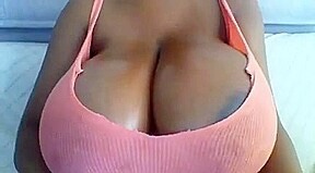 brabustersconnoisseur: