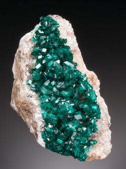 bijoux-et-mineraux:  Dioptase - Altyn-Tyube, Kirghiz Steppes,