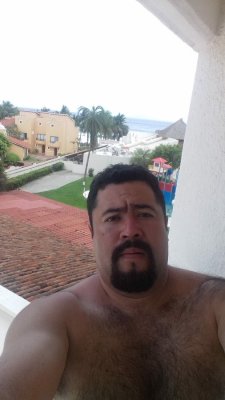 bear-hairy:  Déjanos tu comentario 🐻 . Rebloguea y comparte