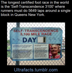 ultrafacts:  The Self-Transcendence 3100 mile race is the world’s