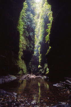 touchdisky:  Claustral Canyon | Australia by NettyA 