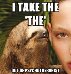 lmao…..   This is the best sloth meme I have ever seen….