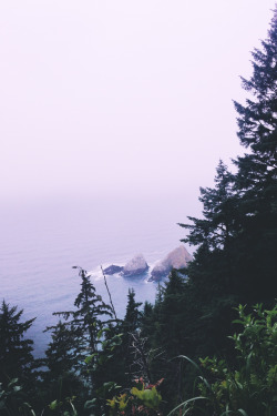 leaberphotos:  Blood rush in the hazy glow, my hands, your bones