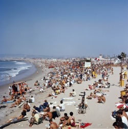 the60sbazaar:  Spectators gather on the beach to watch a surfing