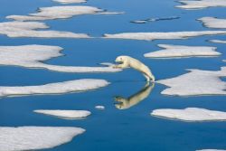 redwingjohnny:Ice CapadesPhotograph by Ralph Lee Hopkins, National