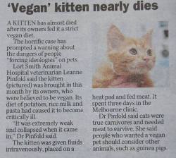 naturepunk:  Vegan Diet Almost Kills Kitten. If you want to eat