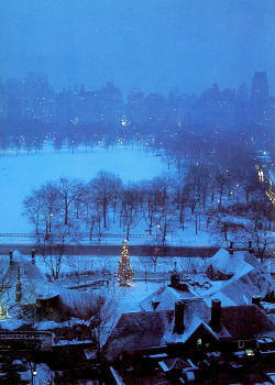 vintagegal:  Ruth Orkin- Christmas tree in Central Park, N.Y.C.