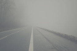 3000-milesfromyou:☁Ｆｏｇｇｙ ｐａｌｅ ☁