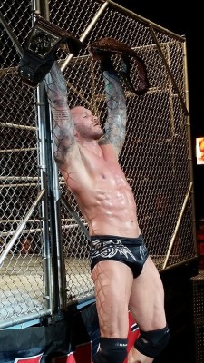 renneta89:  Randy Orton - Steel Cage Match   Well hello there