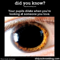 did-you-kno:  Pics and 4 more reasons why your pupils dilate