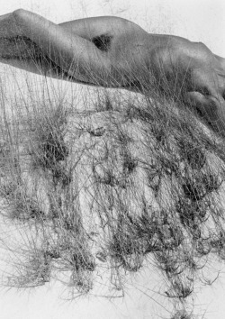 gacougnol:  Lucien ClergueNude at White Sands 1986 