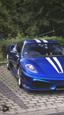 dennisvdmeijs:  Visit my Facebook © DENNISVDMEIJS 