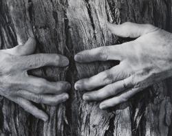 thecloudiestday:  Wynn Bullock, Woman’s Hands (1956)  