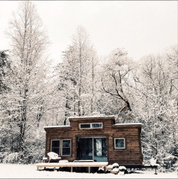 mace-onymous:  hellotinyhome:Winter is here, and I am warmer