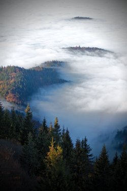 A Nature Blog