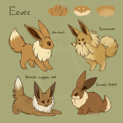 cheeziesart:  Eeveelution variations! PLEASE DO NOT REPOST OR