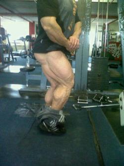 muscledlust:  Massive veiny quads! 