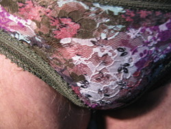 stinson1:  todays mesh floral panty