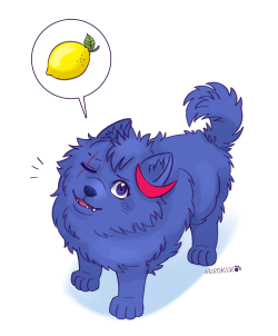 herokick:Fluffy la Scruffy AU! (•xω⊙•)A tiny stray appears